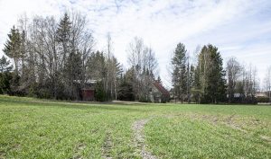 Nahkelanraitti tontti